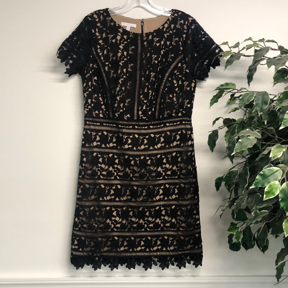 Talbots Dress
